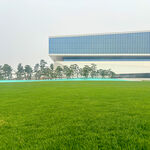 现代建筑旁的翠绿草地