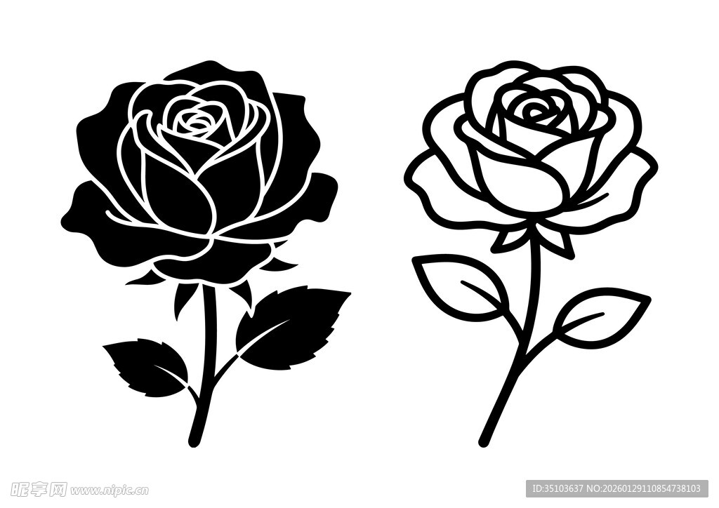 黑白玫瑰图案设计