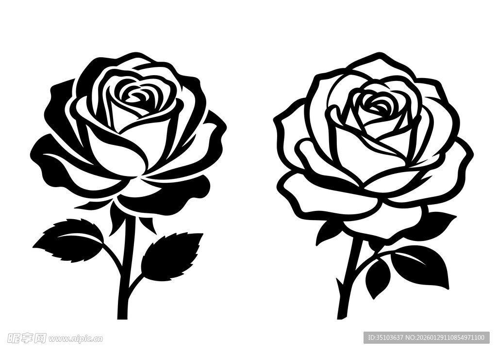 月季花图案设计