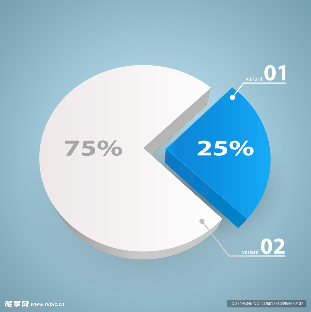 扇形统计图展示比例分布