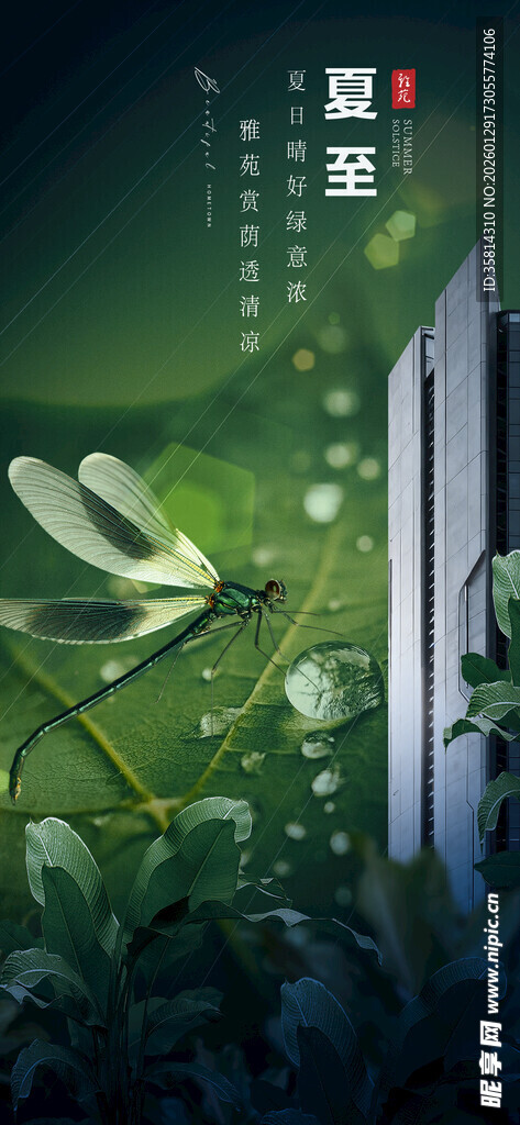 清新绿叶间的灵动叶片