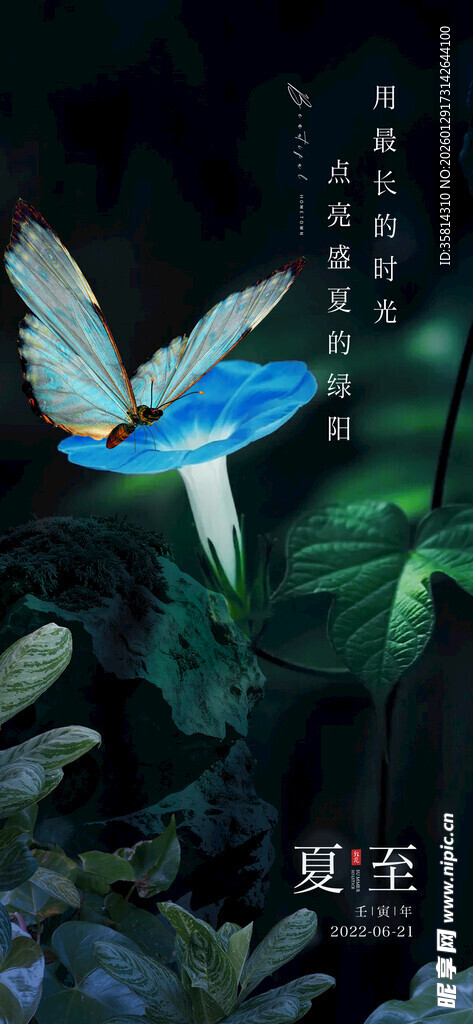 梦幻蓝蝶于绿植间飞舞