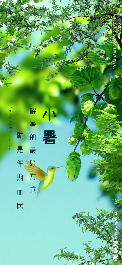 绿叶间灵动的小鸟