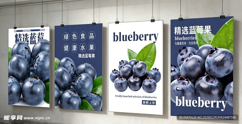 蓝莓主题海报展示