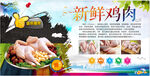 新鲜鸡肉宣传页展示