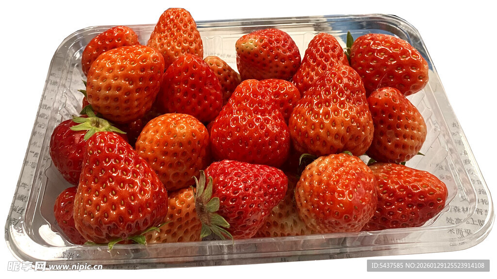 新鲜草莓摆放在透明托盘上
