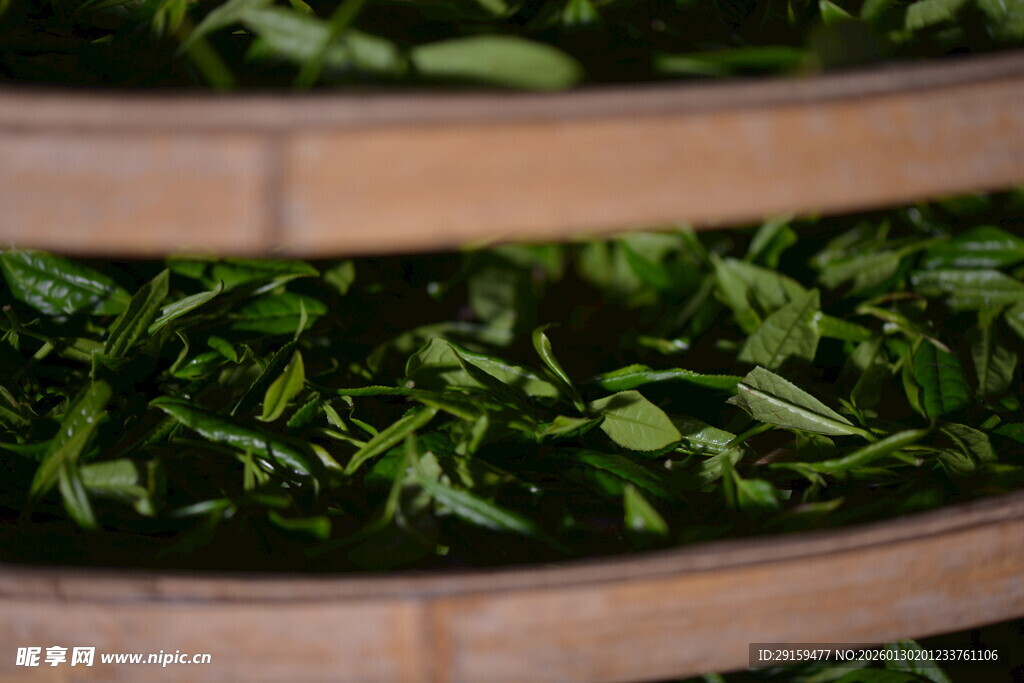 竹筐内的鲜嫩绿叶