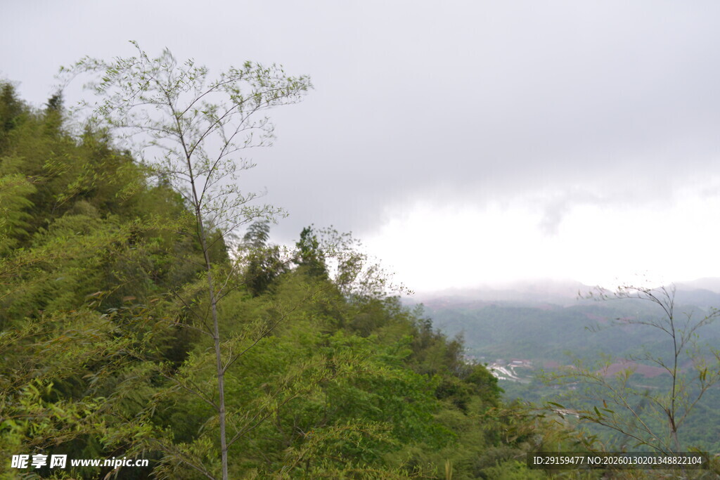 山间绿意盎然的景致