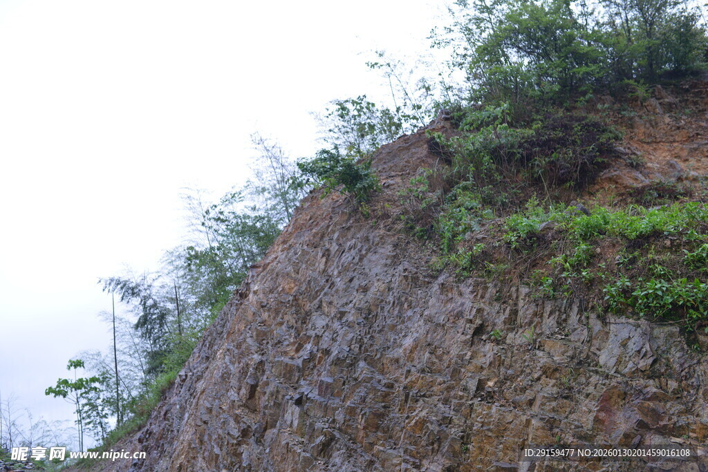 山坡岩石与绿植景观