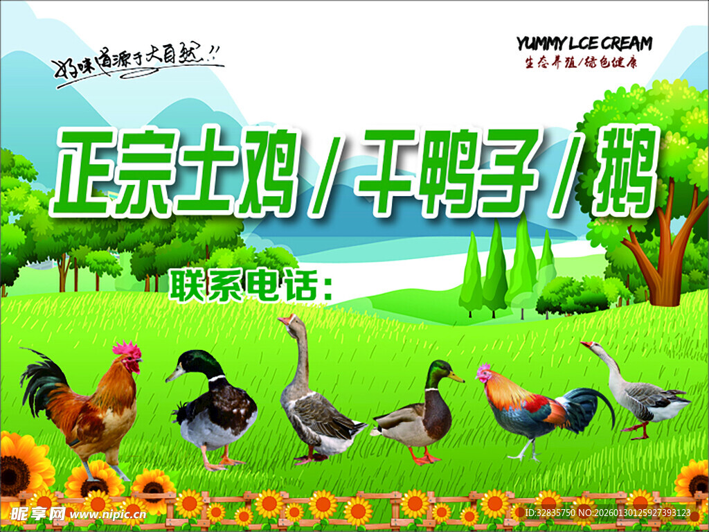 正宗土鸡干鸭子鹅等出售