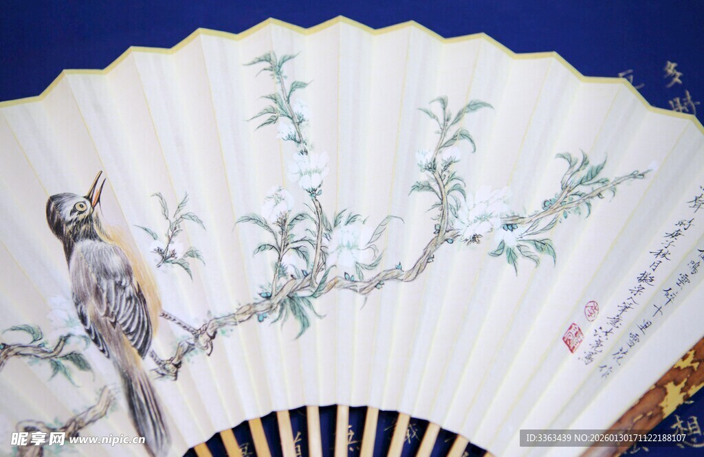 花鸟折扇图