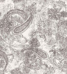 复古花纹图案纹理素材