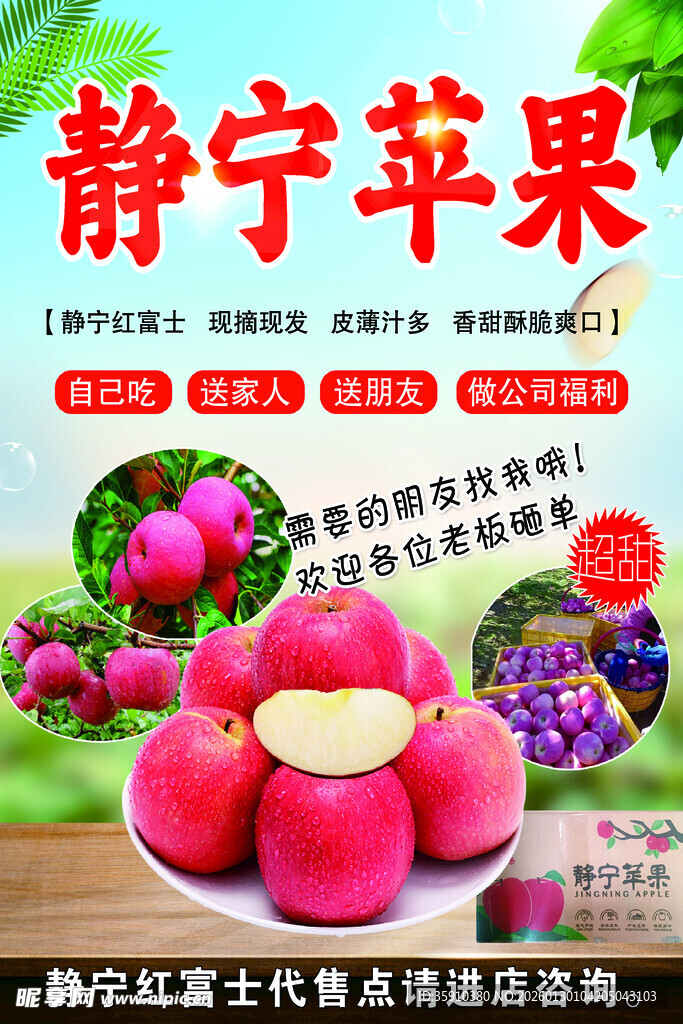 静宁苹果  色泽诱人品质佳