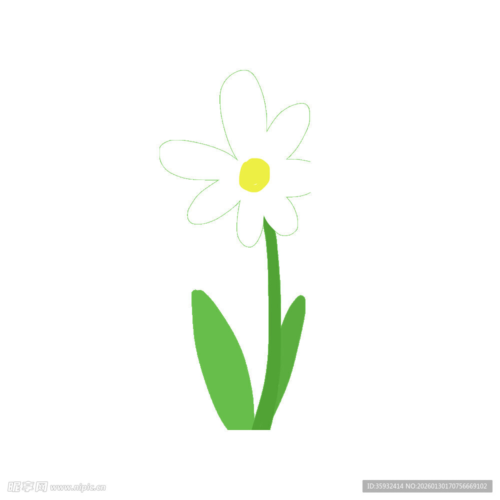 简约手绘白色小花插画