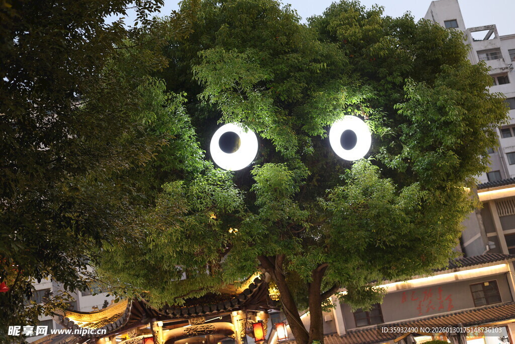 长着眼睛的奇特绿植