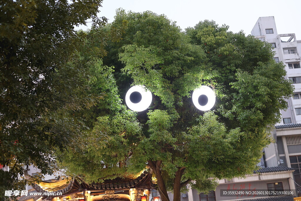 可爱心形绿植造型