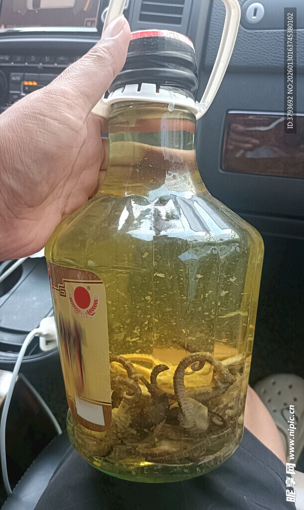 自泡中药材养生酒