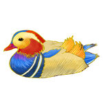 彩色刺绣鸳鸯图案