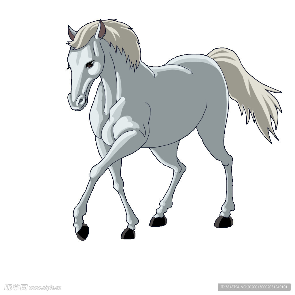 优雅白马漫步