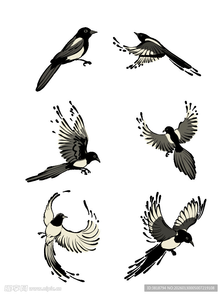多样飞鸟姿态插画