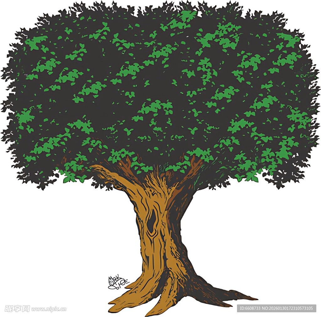 心形树冠的大树插画