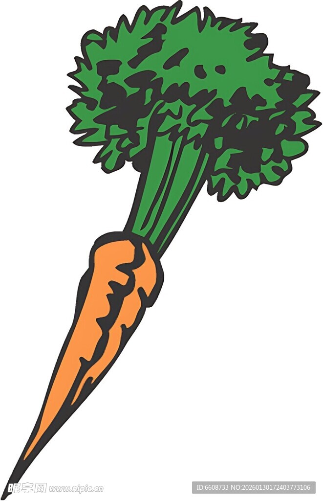 卡通胡萝卜插画