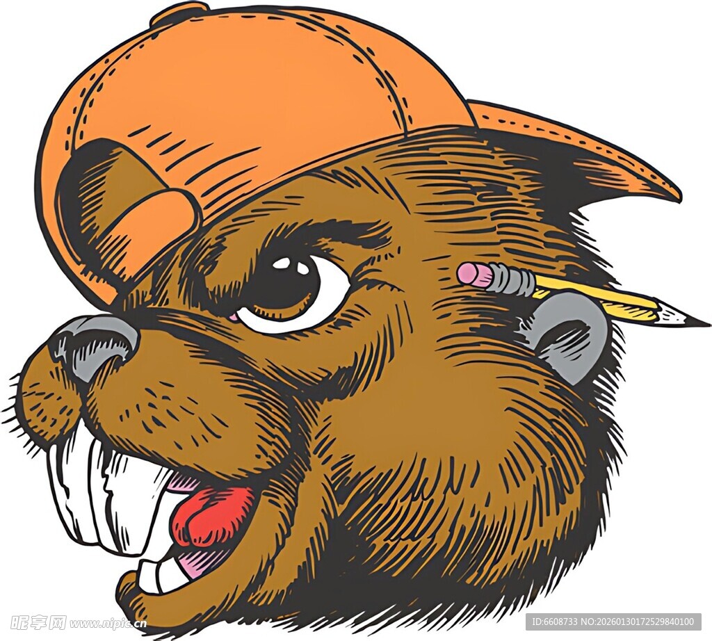 戴帽海狸卡通形象