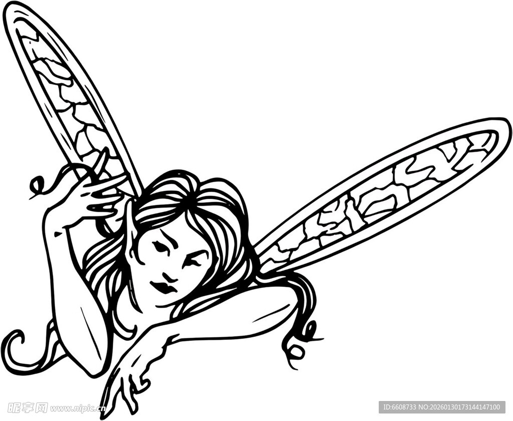 飞舞的美丽精灵