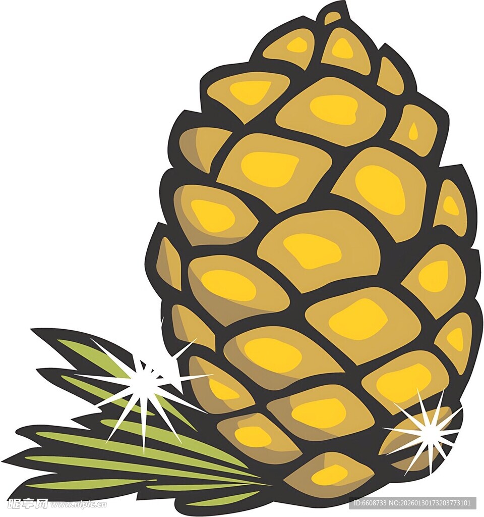 卡通风格松果插画