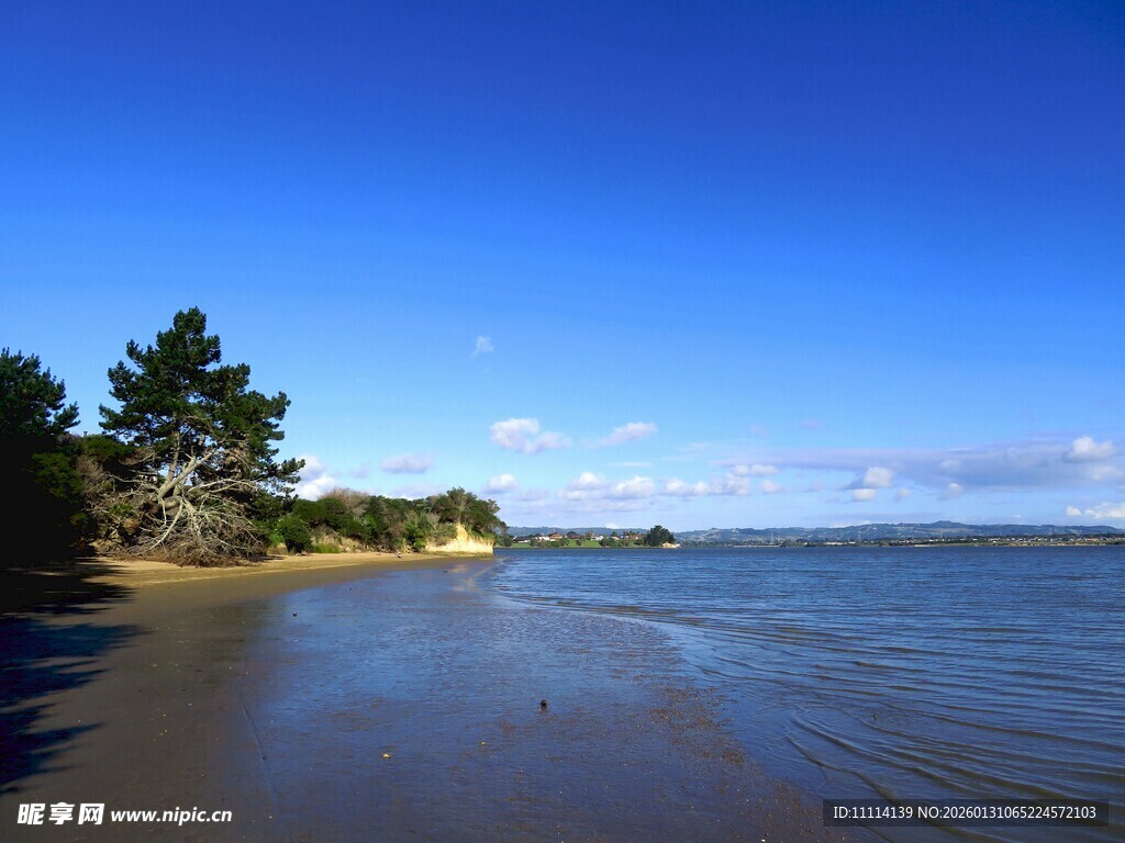 奥克兰海边风景