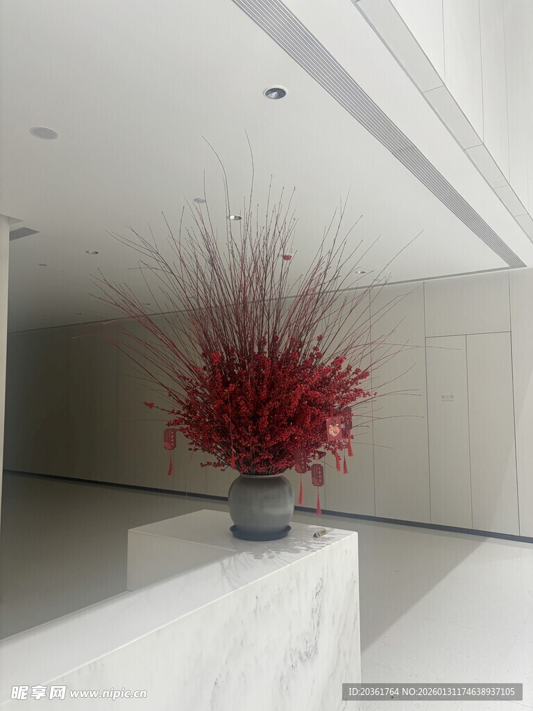 室内红植装饰摆件