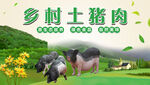 乡村土猪肉