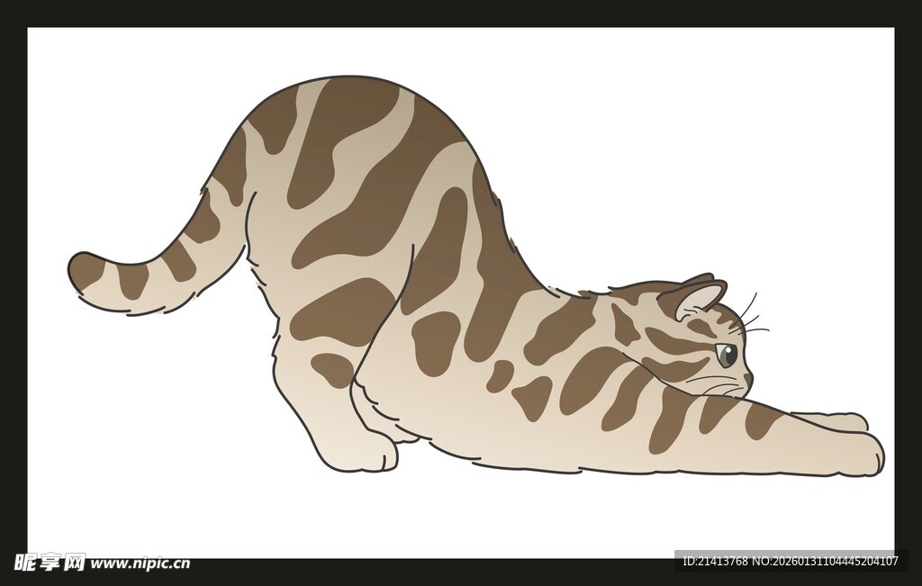 伸懒腰的条纹猫咪