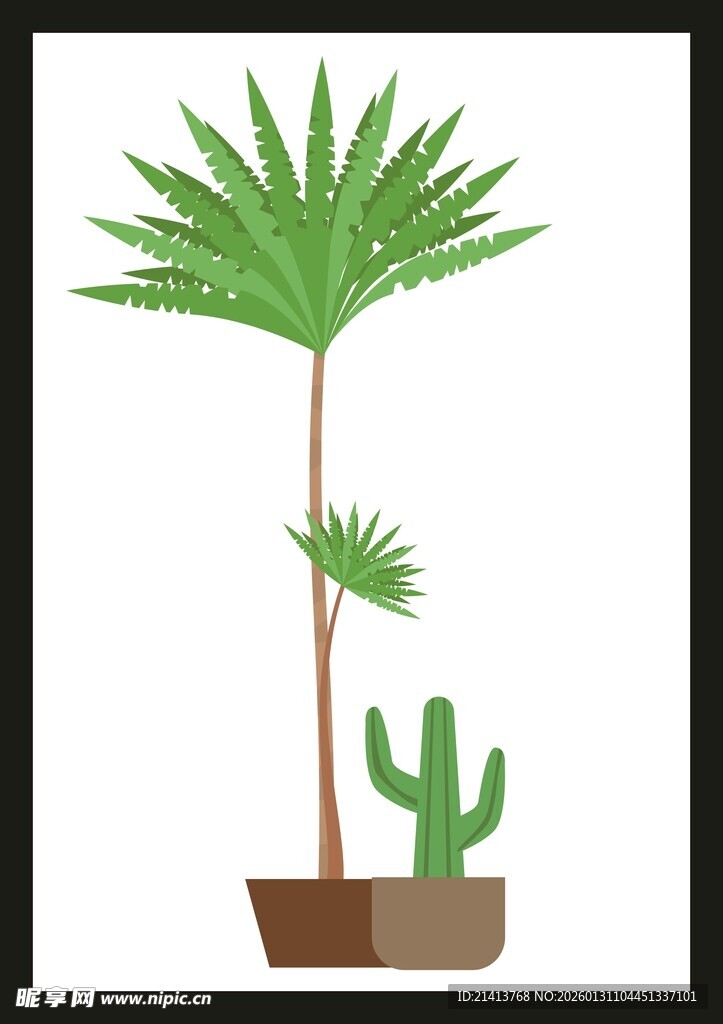 室内盆栽植物组合