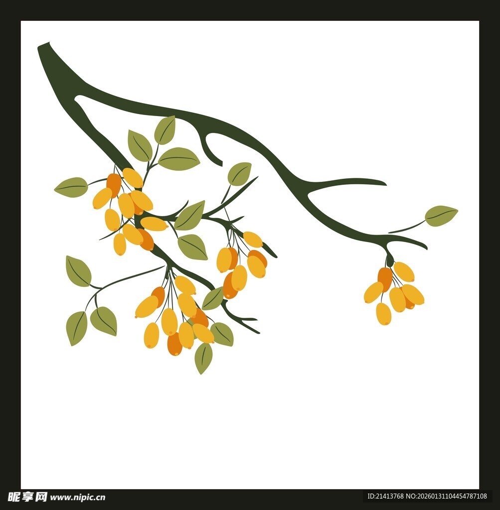 枝头嫩绿花朵绽放