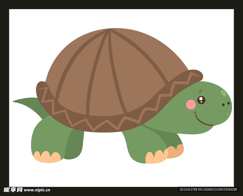 可爱卡通小乌龟形象