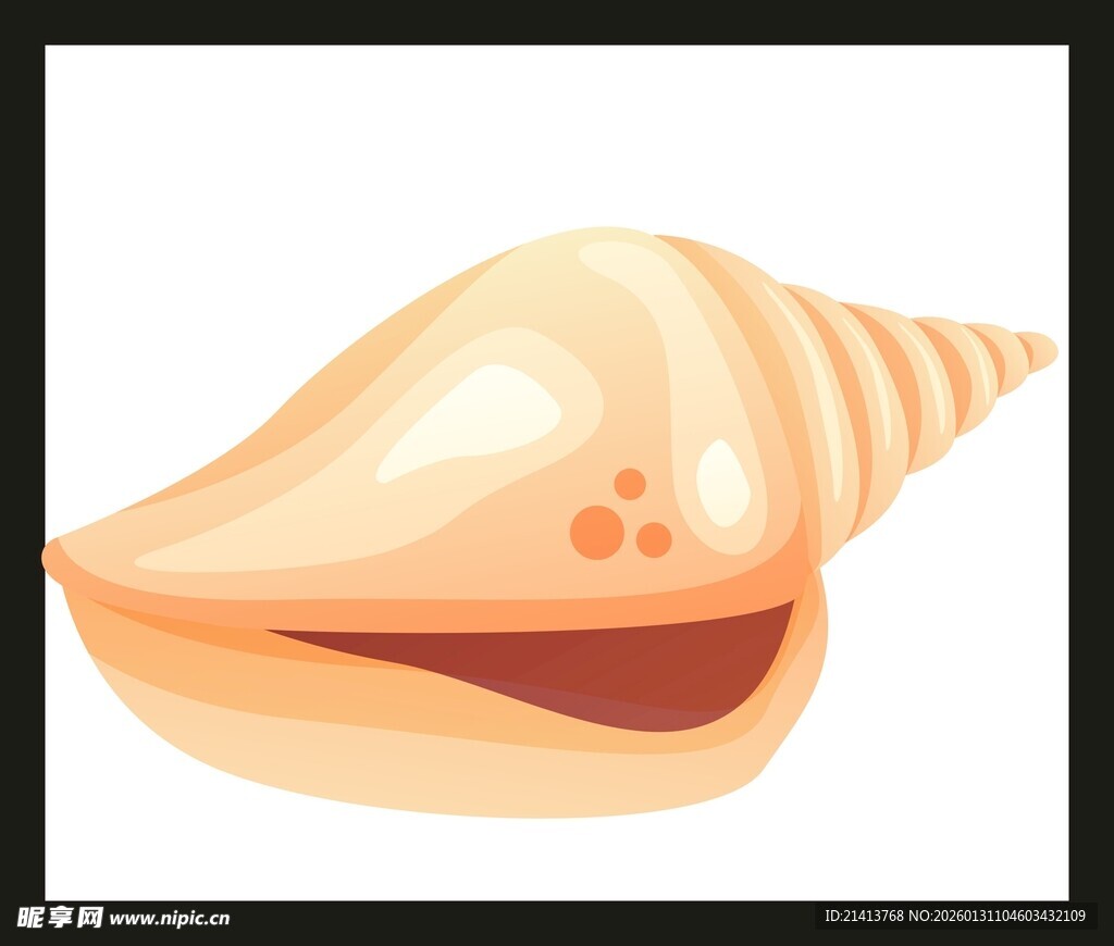 卡通风格的精美贝壳图案