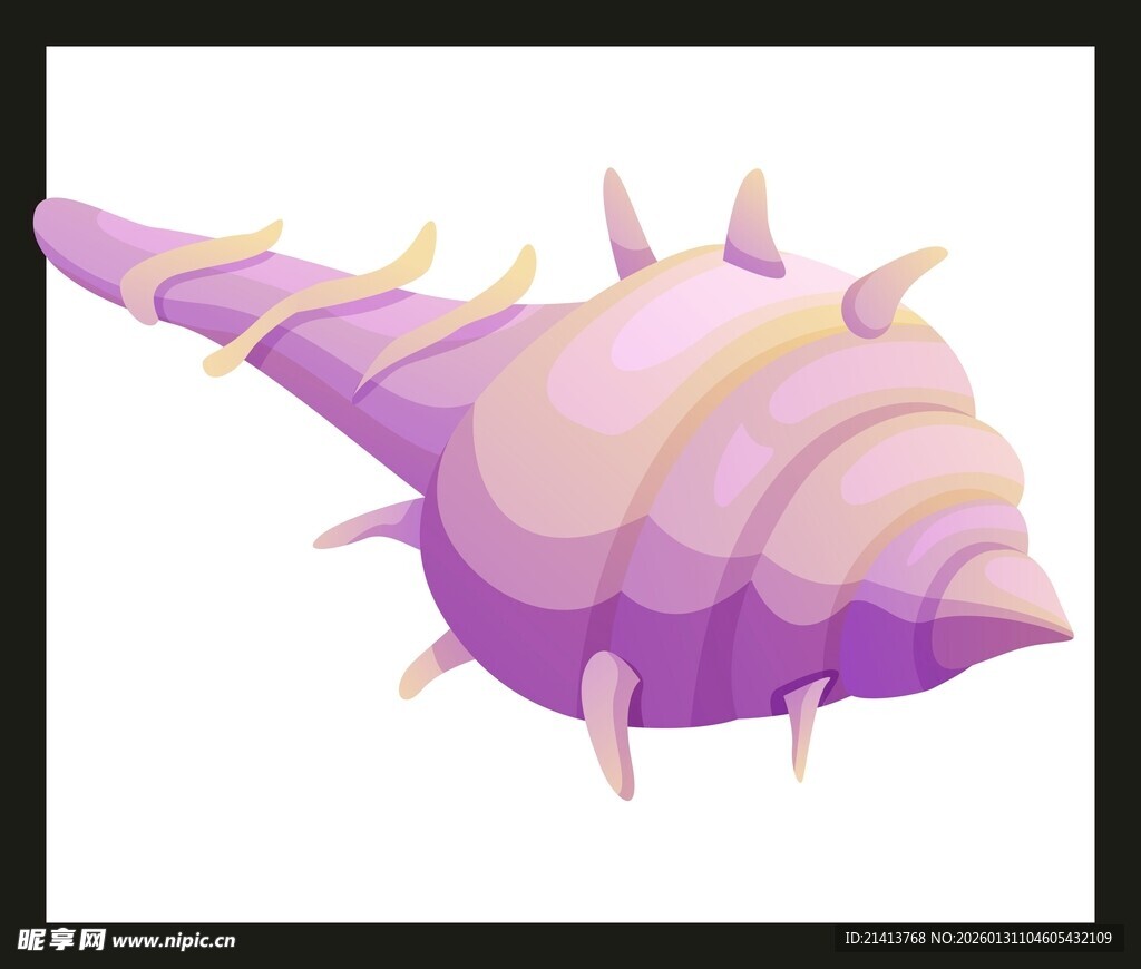 紫色带刺海螺插画