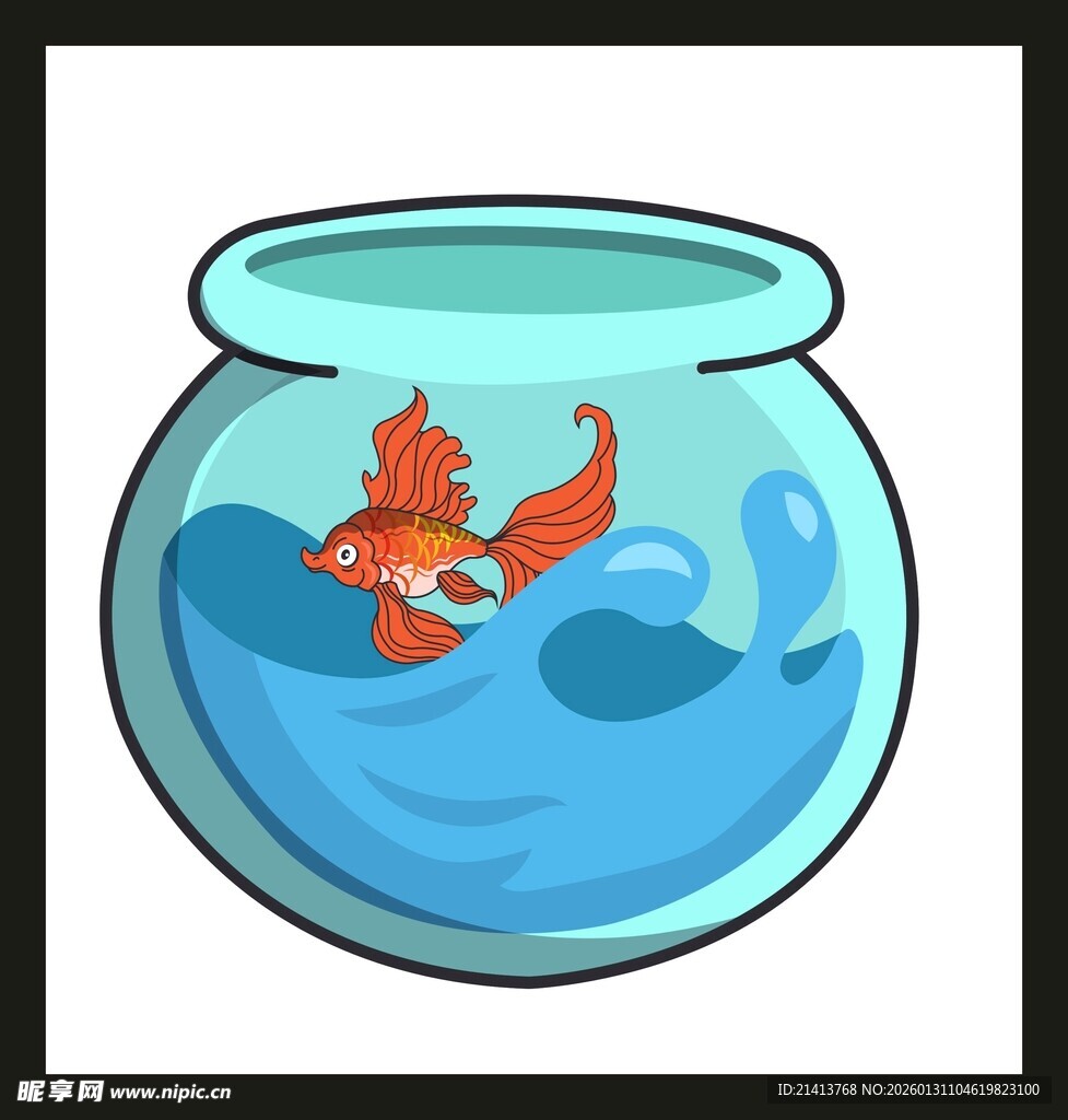 鱼缸中的红色金鱼