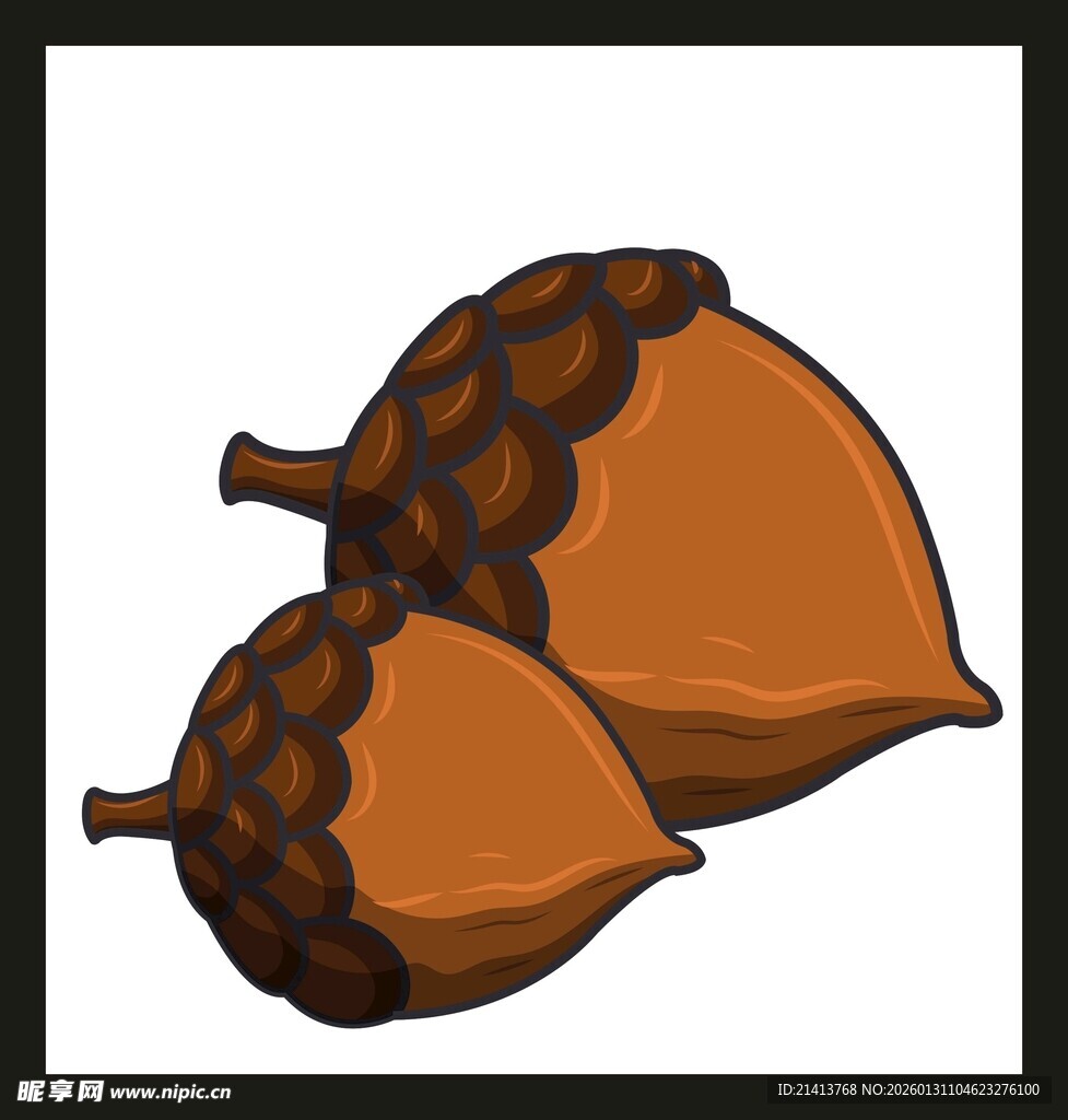 卡通风格的两个橡子果实