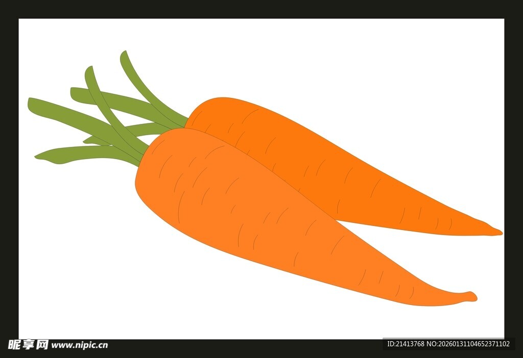 两根橙色胡萝卜插画