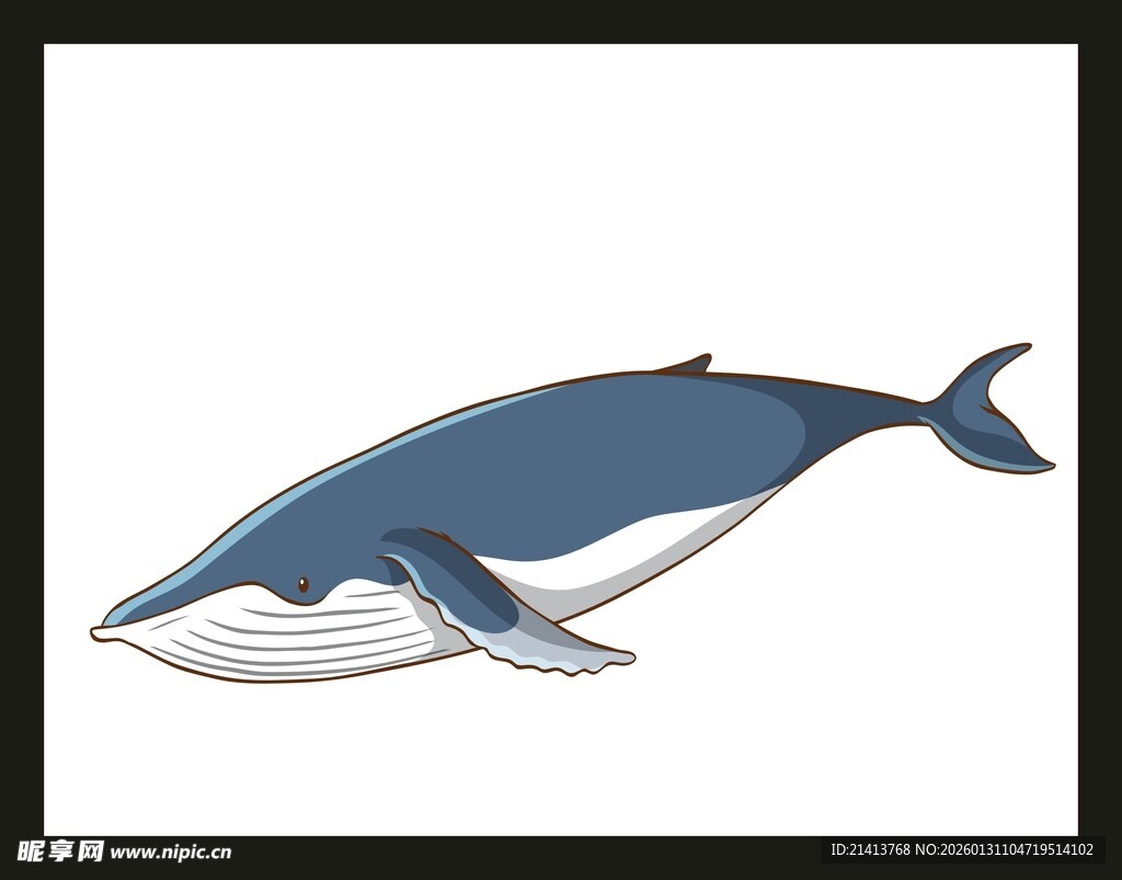 蓝色鲸鱼插画