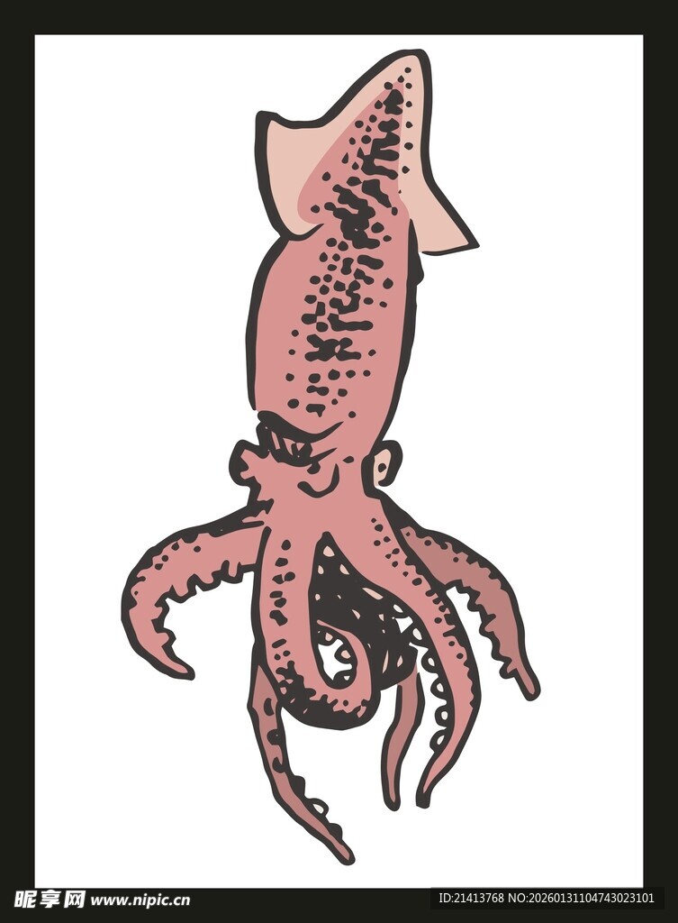 手绘粉色鱿鱼插画