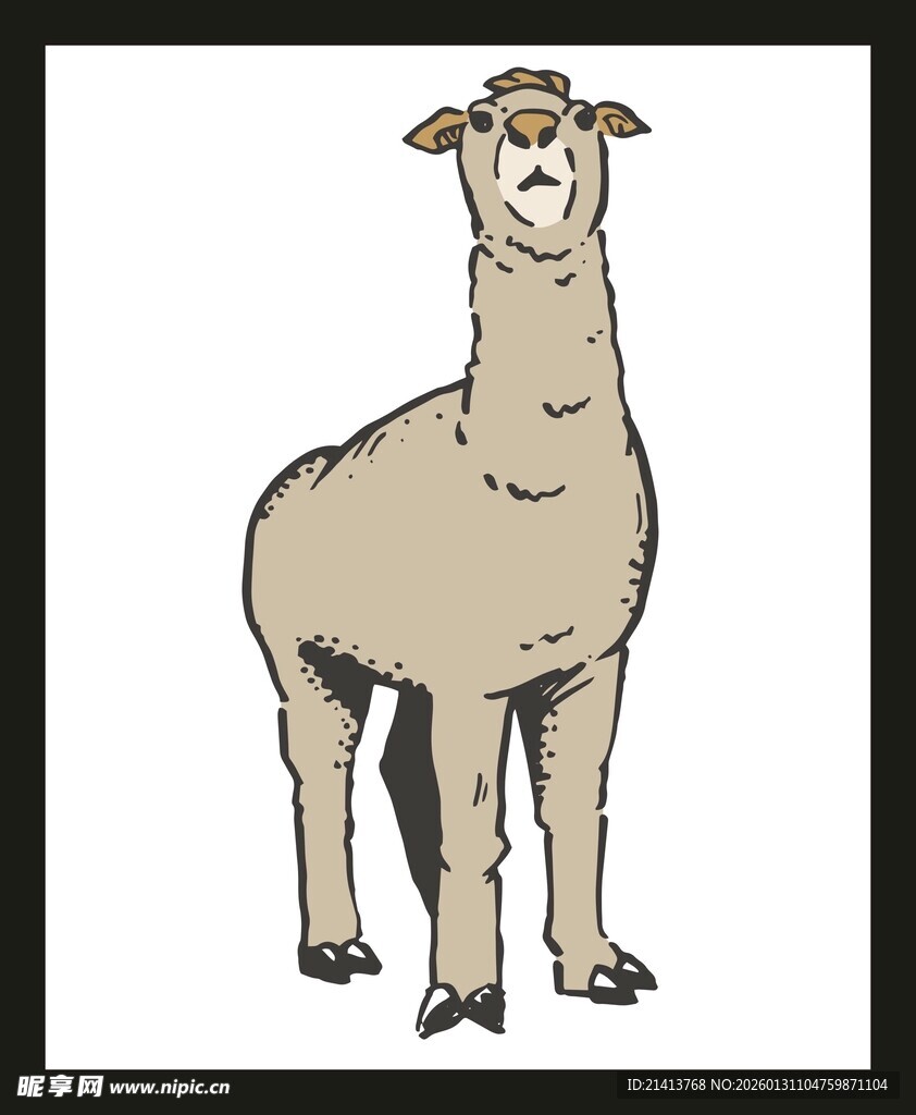 站立的羊驼插画