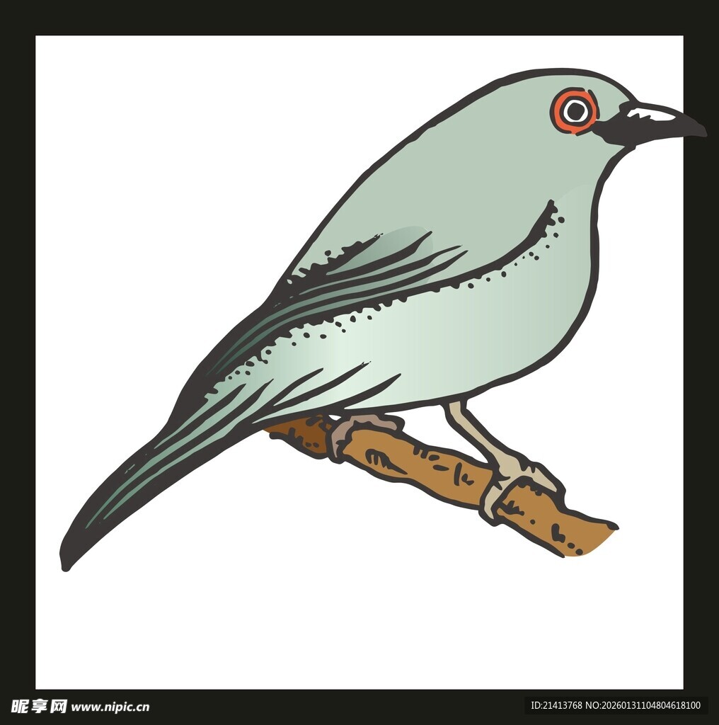 栖息枝头的灰绿色小鸟