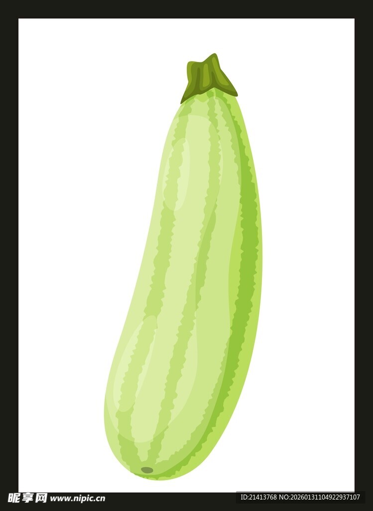 鲜绿西葫芦插画