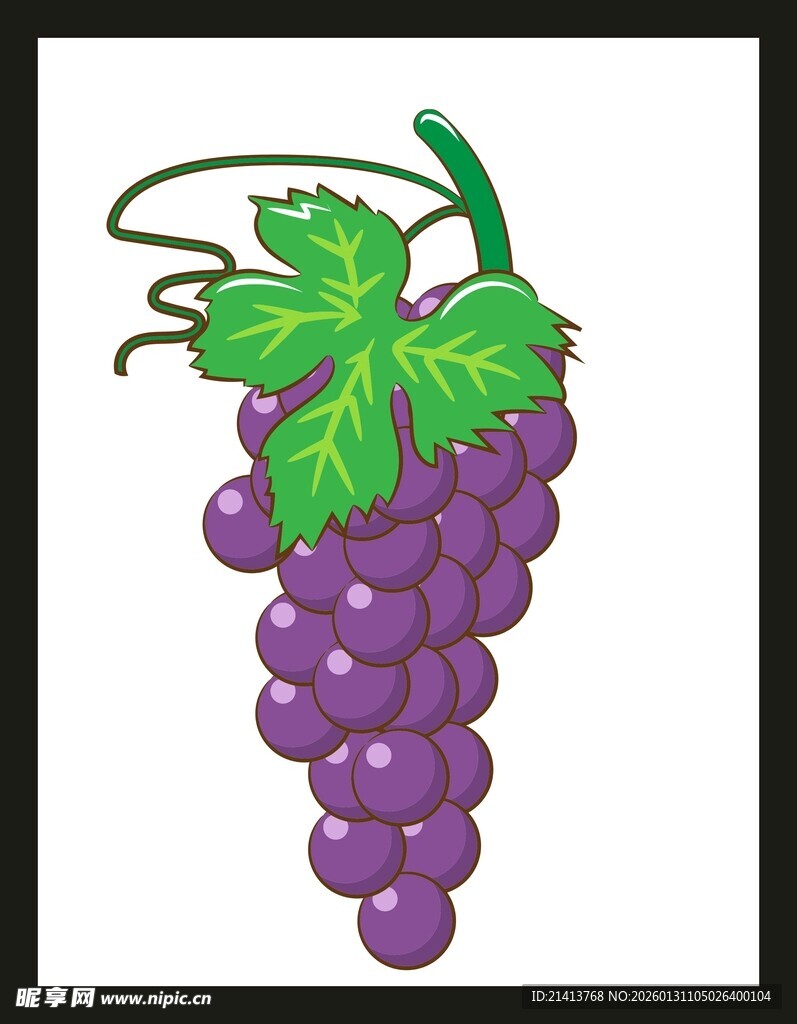 一串紫葡萄插画