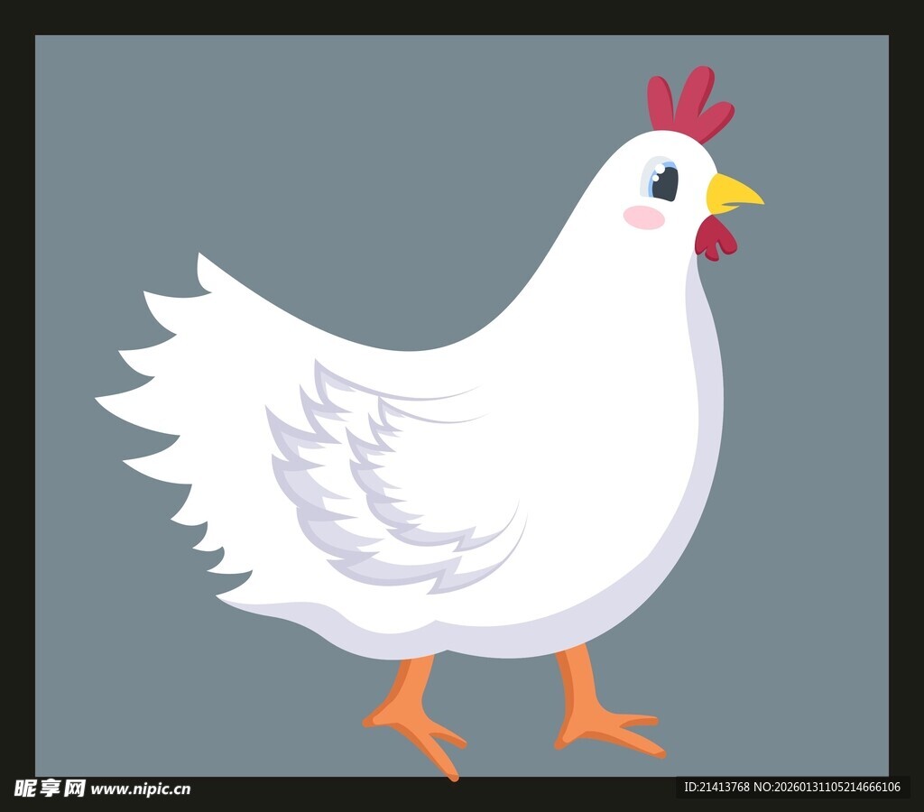 可爱白鸡插画