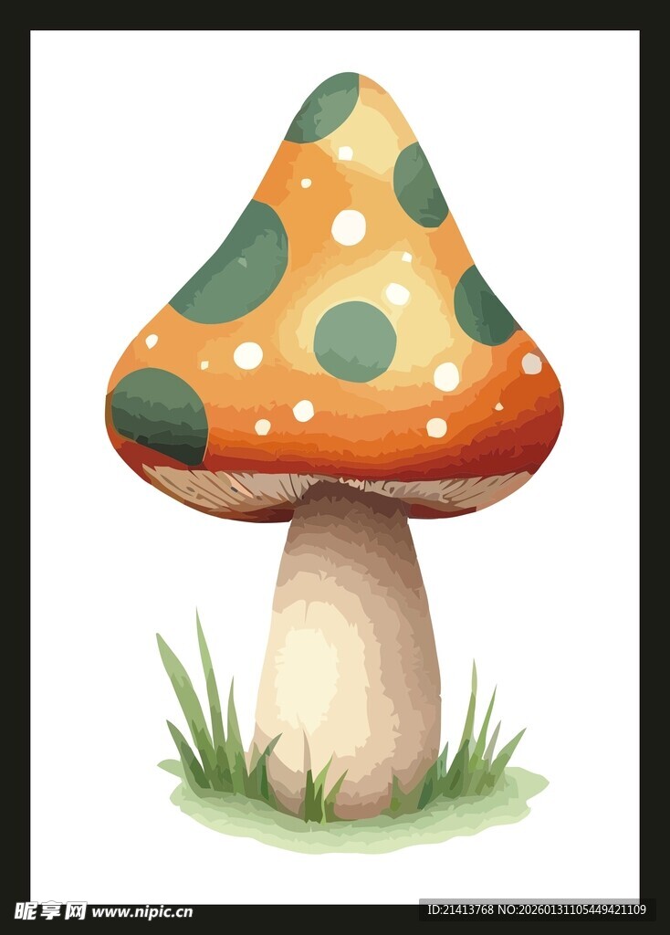 彩色斑点蘑菇插画
