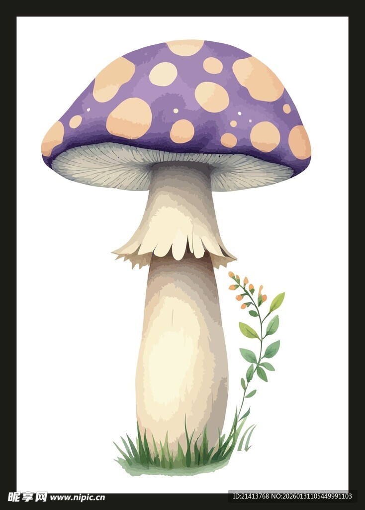 紫色斑点蘑菇插画